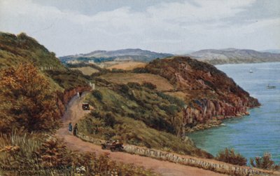 Marine Drive e Bishops Walk, Torquay da Alfred Robert Quinton